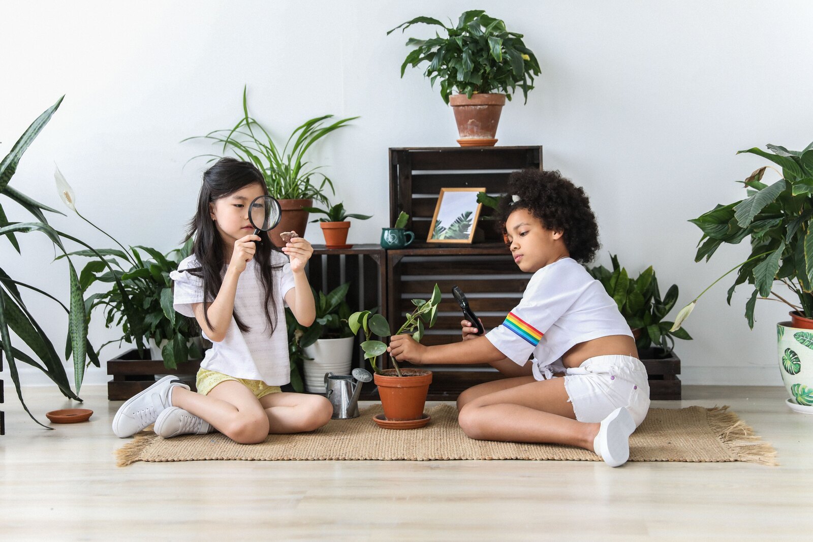 家庭のような空間で、植物を虫眼鏡とスマートフォンで観察する二人の子ども。